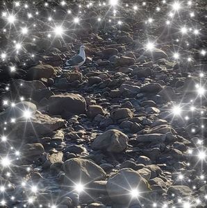 Meet your Posher, Cathie